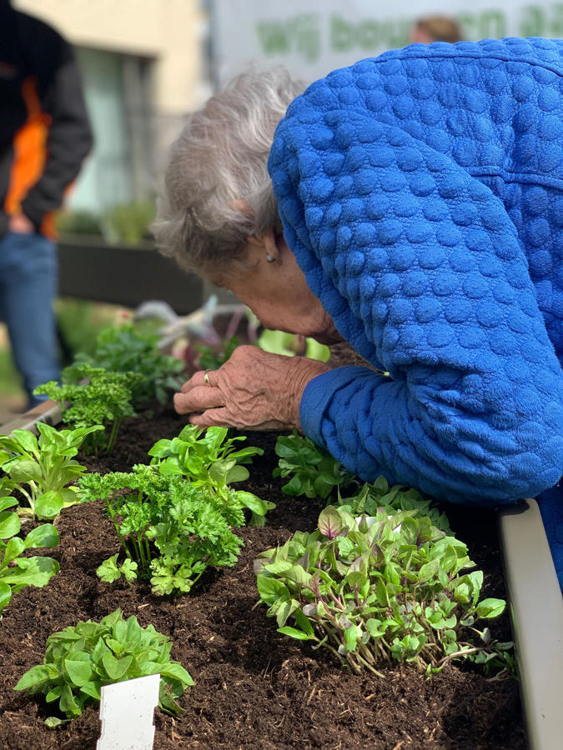 Een nieuwe tuin voor zorgcentrum de IJpelaar