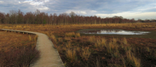 Droogte heeft nog steeds impact op de natuur