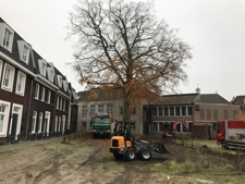 Groeiplaatsverbetering: Rode Beuk in gemeente Sint-Michielsgestel