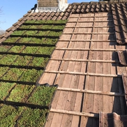 Een groendak is niet langer weggelegd voor huizen met platte daken