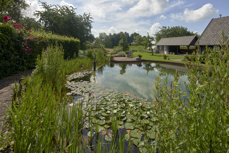 Zwemvijver Particuliere tuin