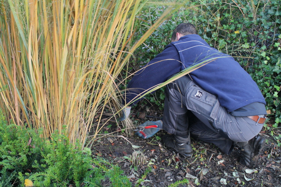 Knippen vaste planten