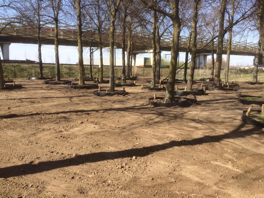 Bomen in depot nabij Orthenseweg