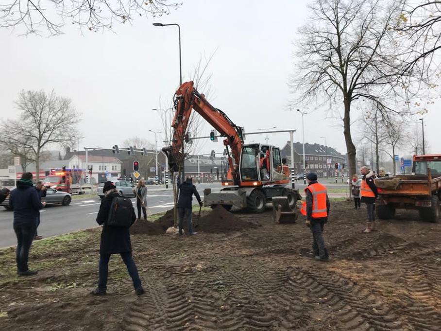 Verplanten bomen Orthenseweg