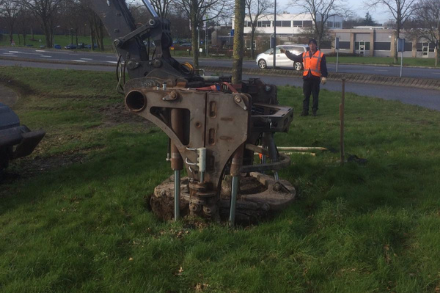 Verplanten bomen