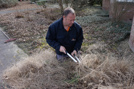 struiken knippen lentebeurt