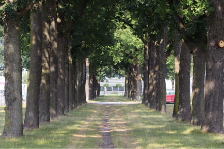 Eikenlaan op bedrijventerrein