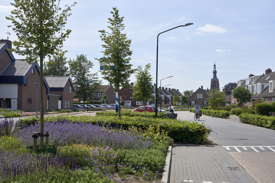 woonwijk Hilvarenbeek openbaar groen
