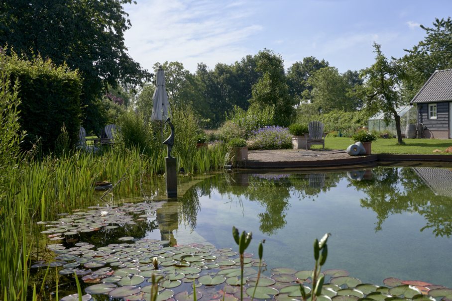 Natuurlijke zwemvijver