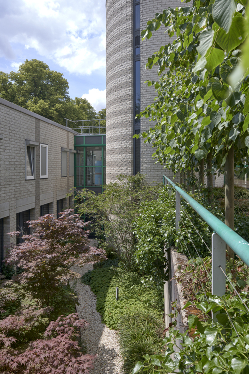 Kijktuin vanaf kantoor