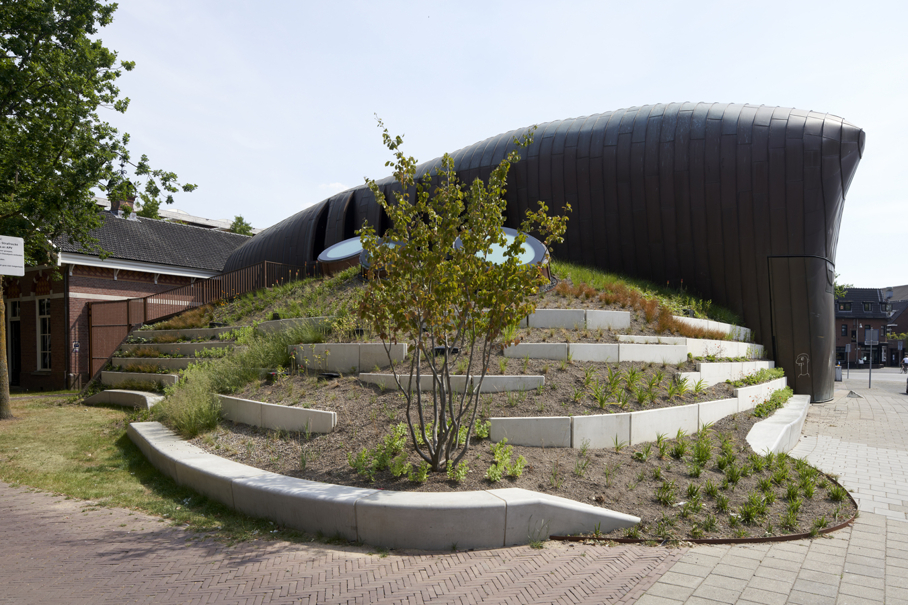 Vaste planten poppodium Mezz