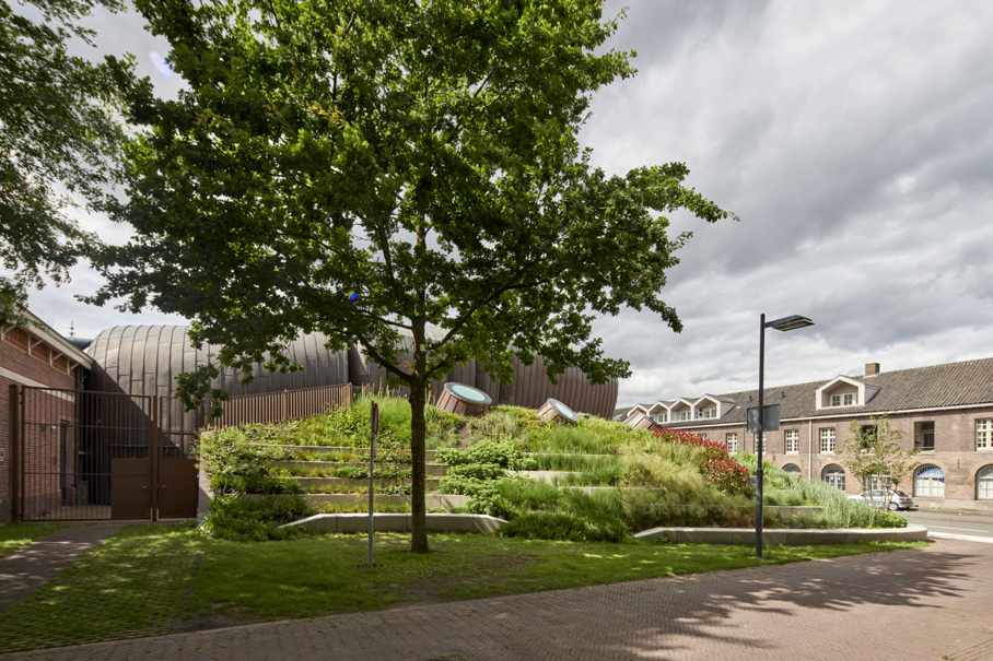 Vaste planten volgroeid Breda Mezz