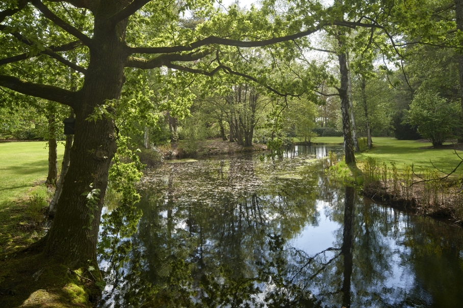 Park Zonnewende lente