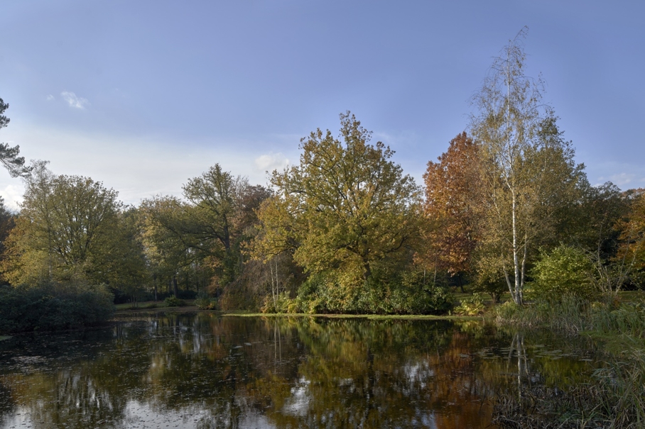 Herfst Park Zonnewende