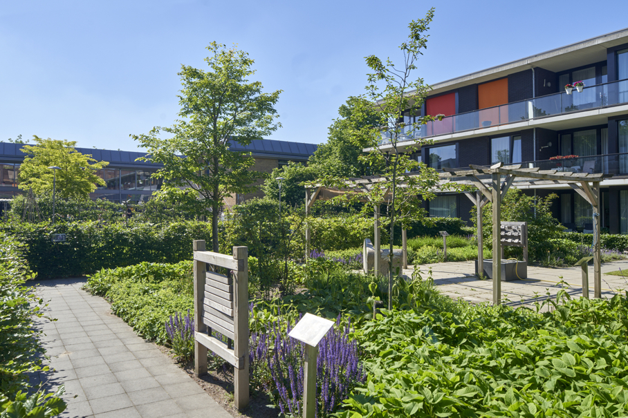 Overzichtelijk paden door beleeftuin