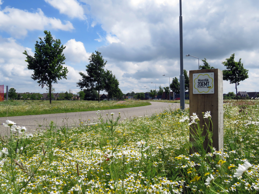 Moerdijk zoemt