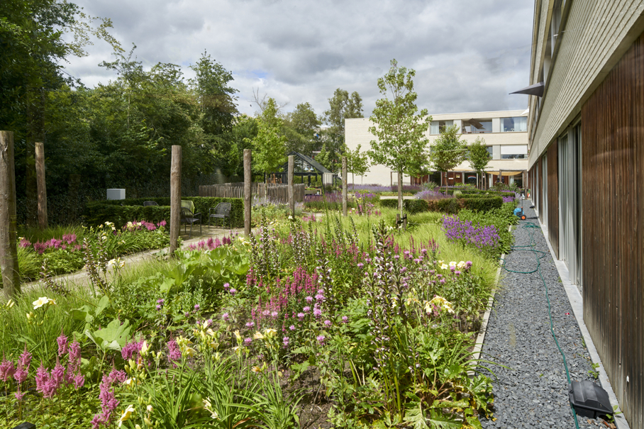 bloemengeur en tuinkleur