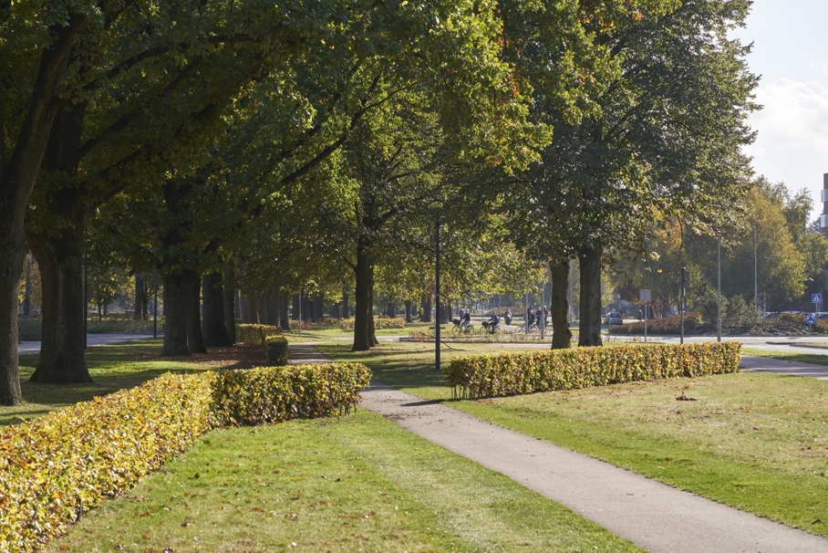 Sterrenlaan Eindhoven 1