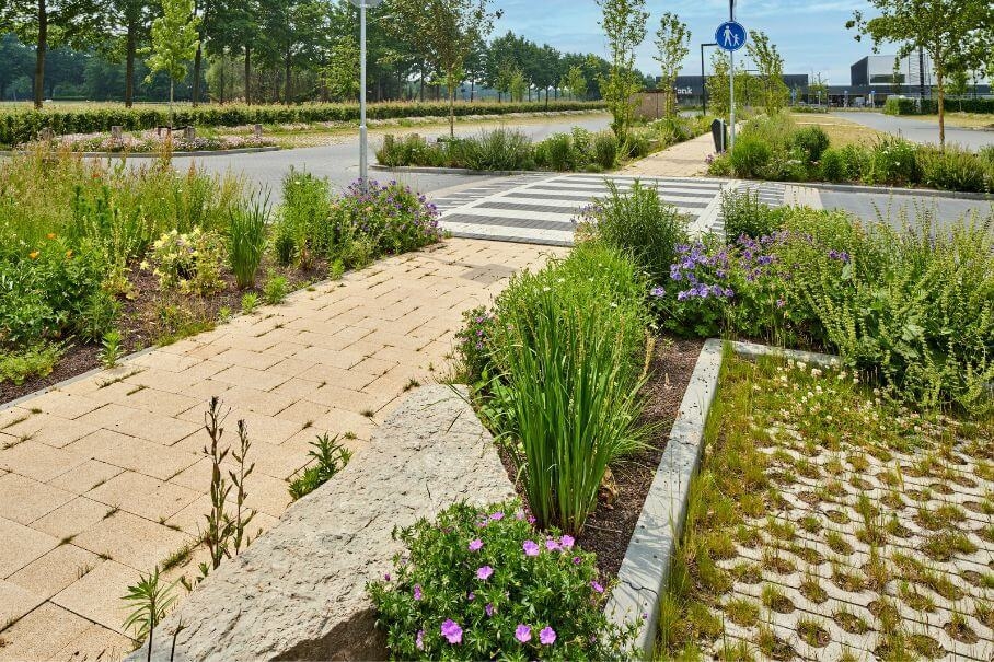 Plantvakken Den Donk in Oisterwijk