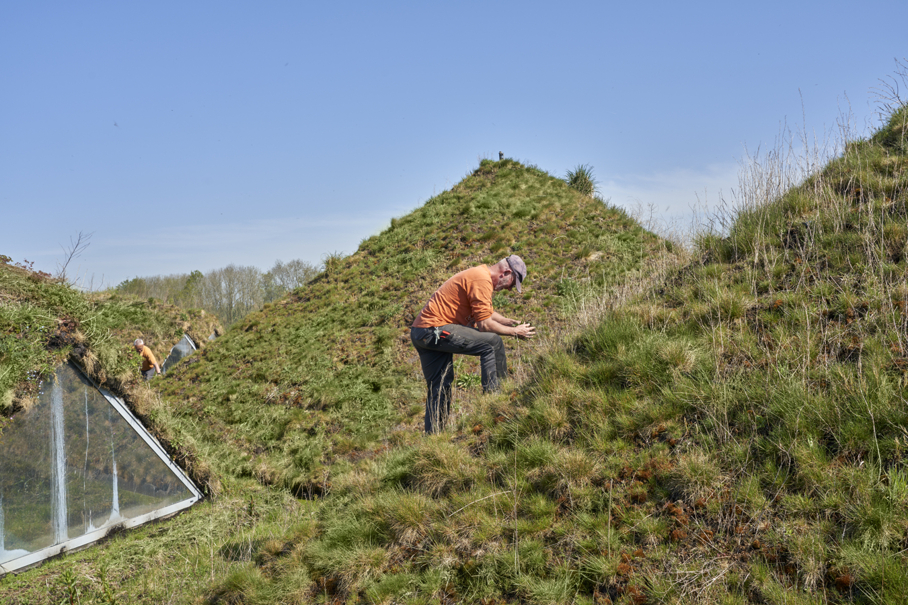 inspectie grasdak Biesbosch museum