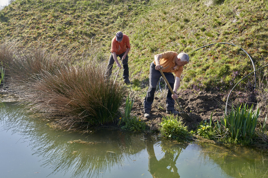 onderhoud grasdak Biesbosch museum