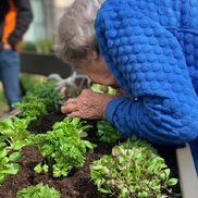 Een nieuwe tuin voor zorgcentrum de IJpelaar