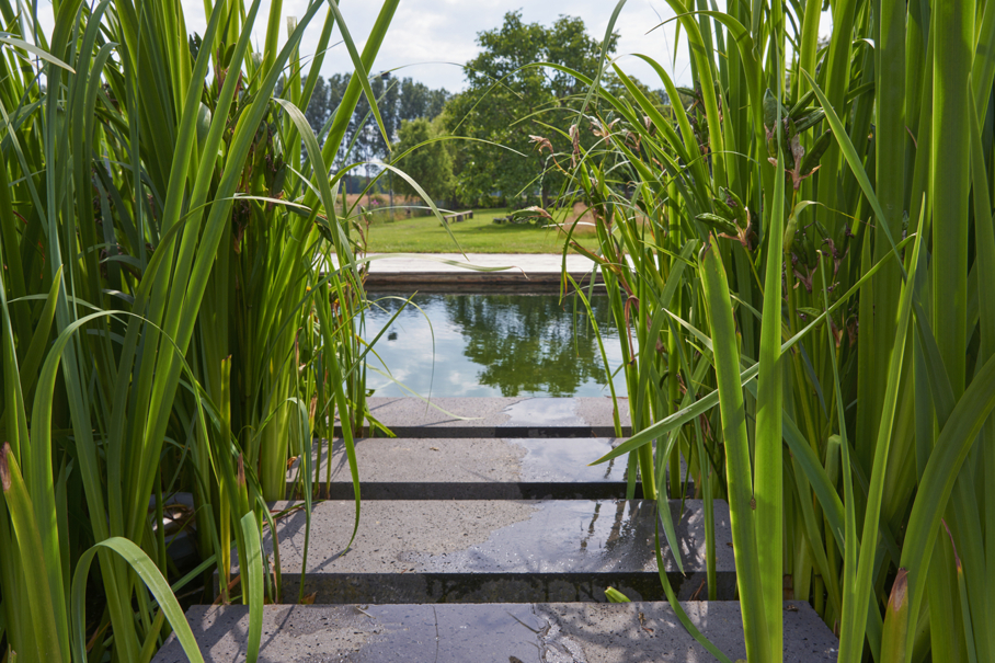 zwemvijver filter