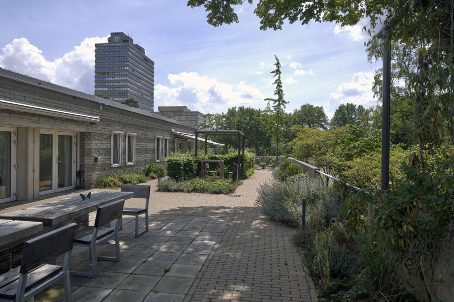 zorgtuin gezondheid