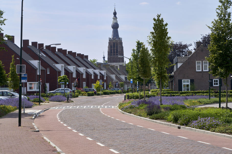 Griffioen vaste planten