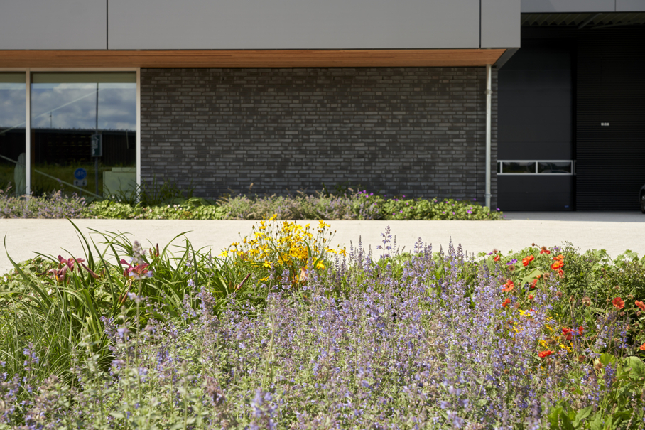 vaste planten concept