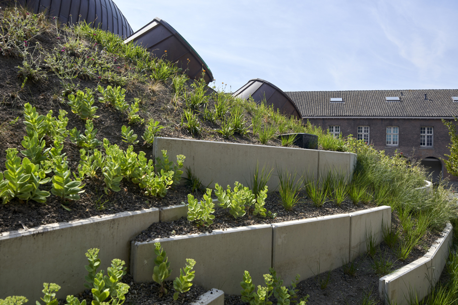 Vaste planten op retentiekratten