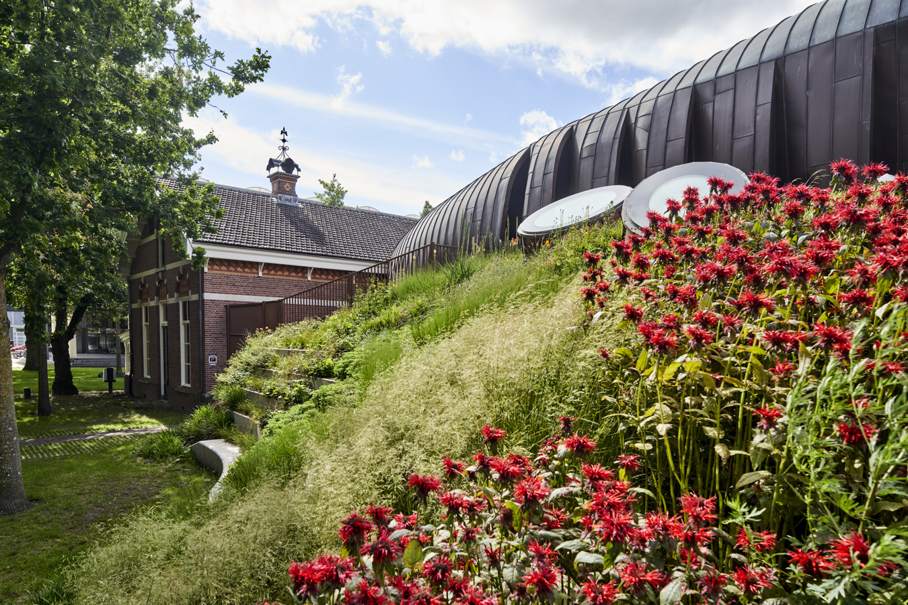 onderhouden vaste planten 