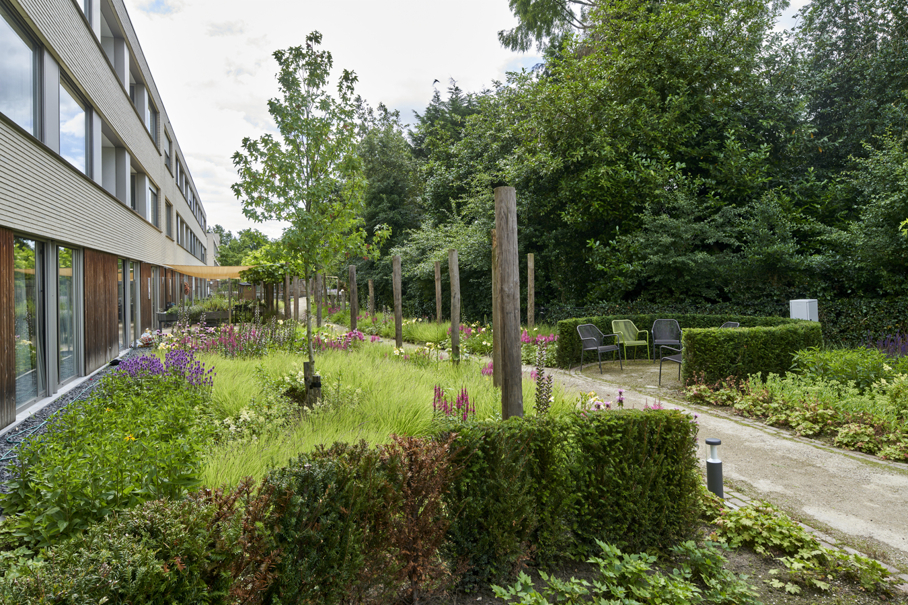 prachtige tuin vol bloemen en planten