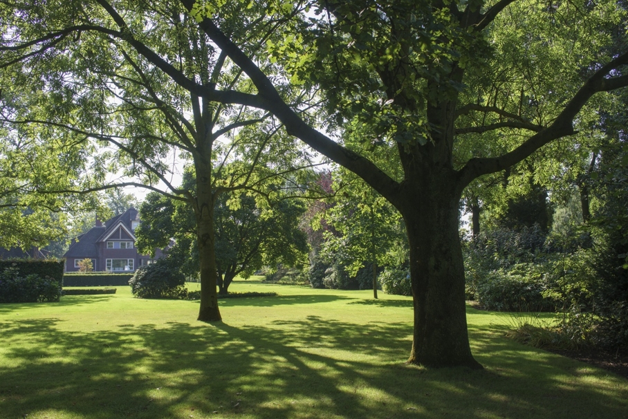 Tuin Bosscheweg 2