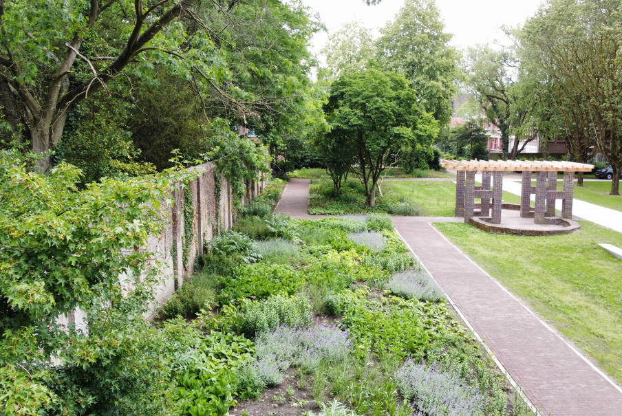beplantingsplan stadspark oude dijk