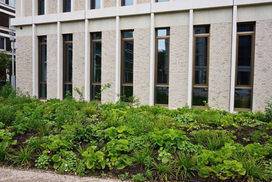 Groene werkplek