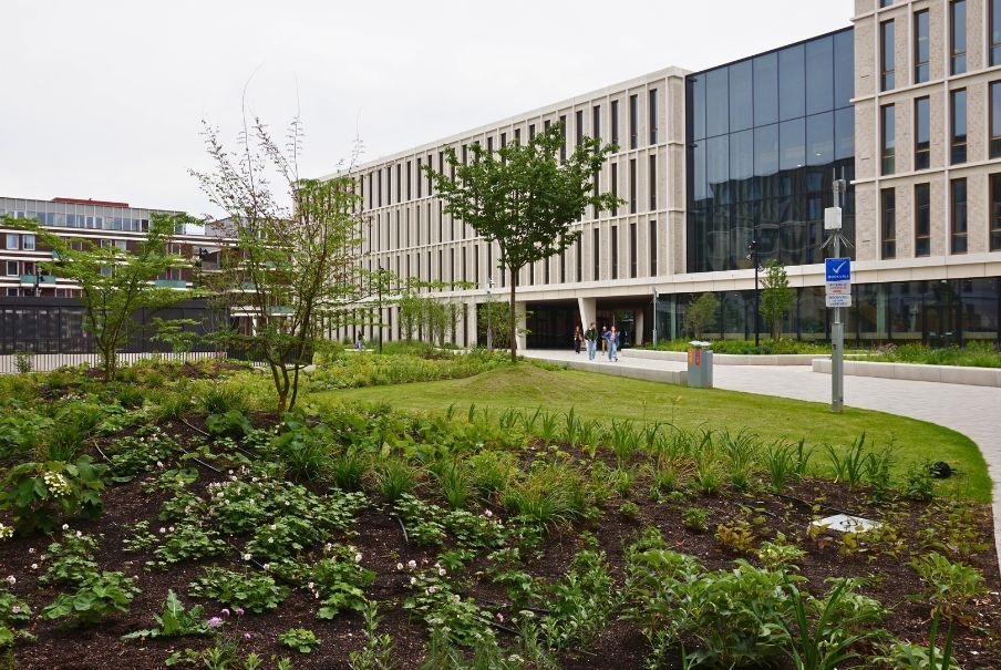 Eerst groeiseizoen beplanting