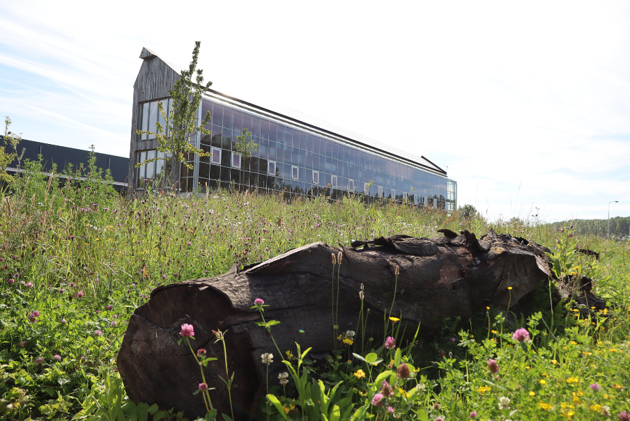 Buitengroen Energiehuis