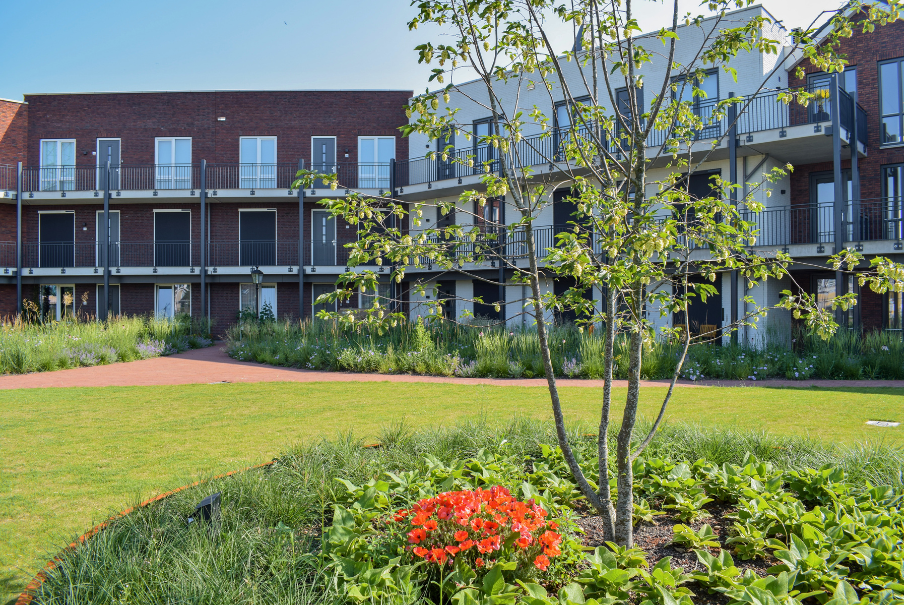 Daktuin De Zuidwand