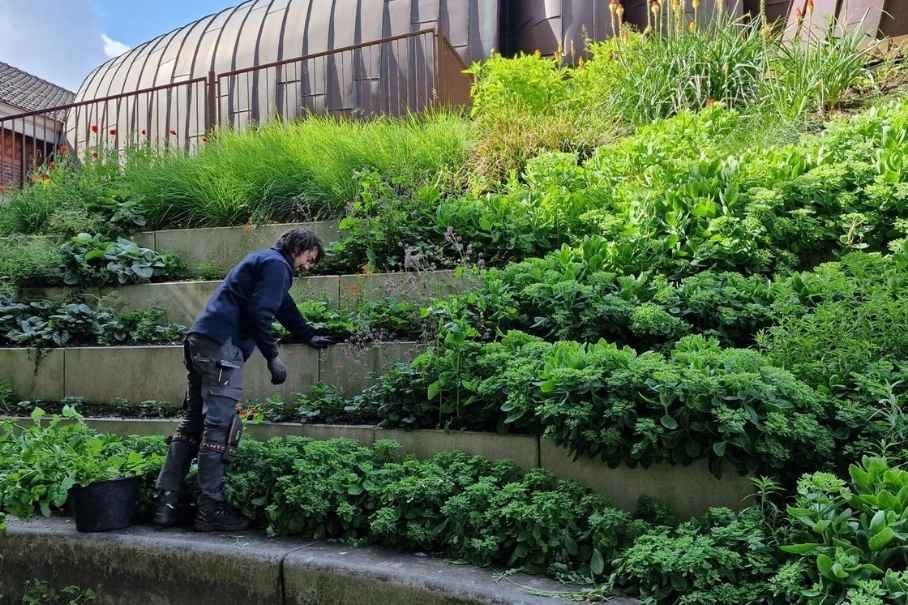 Vacature hovenier onderhoud groenvoorziener