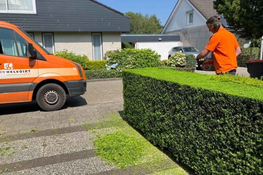 Voorman hovenier onderhoud
