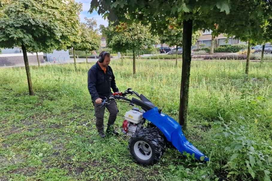 Voorman hovenier onderhoud