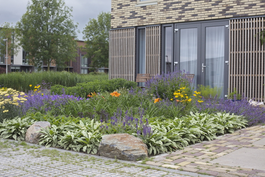 Kleurrijke tuin