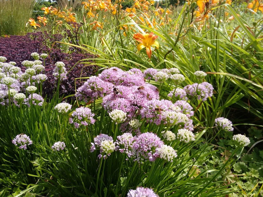 fleurige bloemen